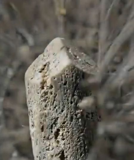 Как работает физика твоего равновесия