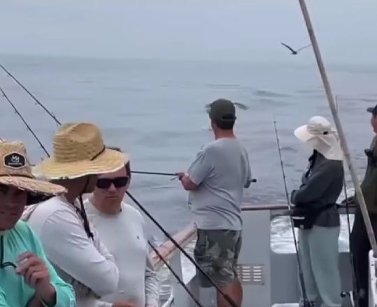 Я с вами на рыбалку