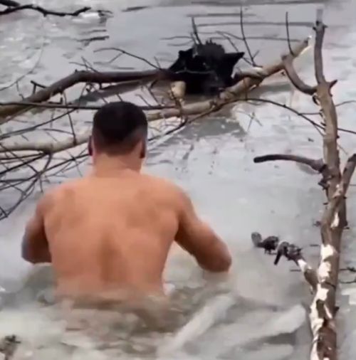 Спас собаку!