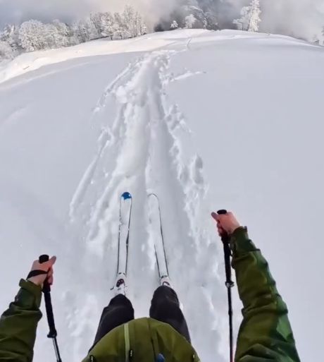 Лыжня есть — значит впереди всё безопас…⁠⁠