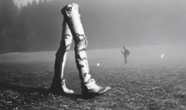 Вот это фантазия у автора!