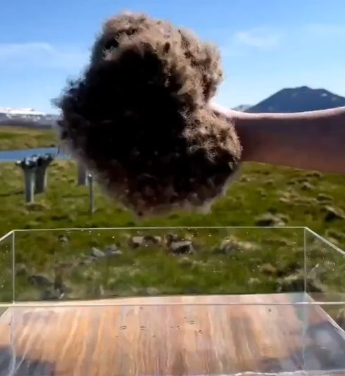 Невероятные водоотталкивающие свойства гагачьего пуха.