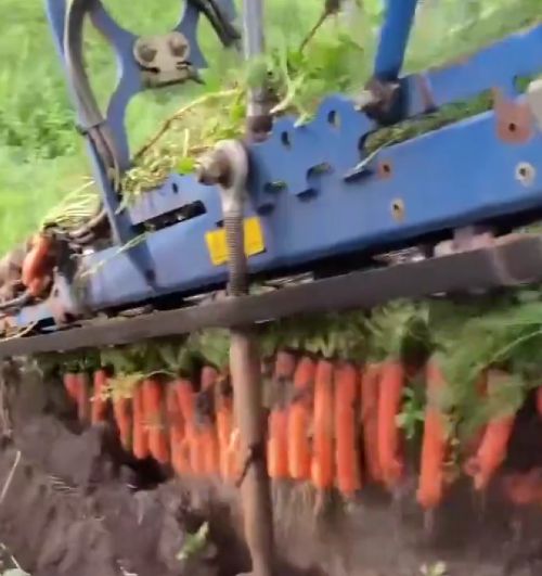 Собираем урожай