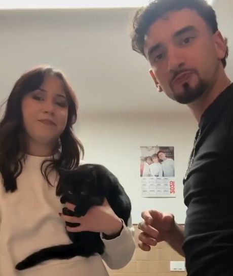 Кот спалился