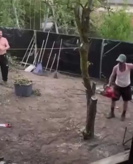 Горе-лесорубы в деле