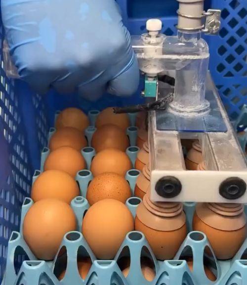 Глазированные вафельные трубочки