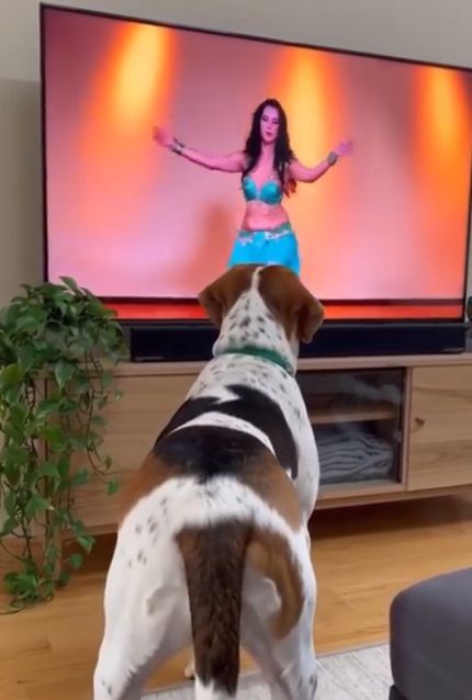 Способная ученица)⁠⁠