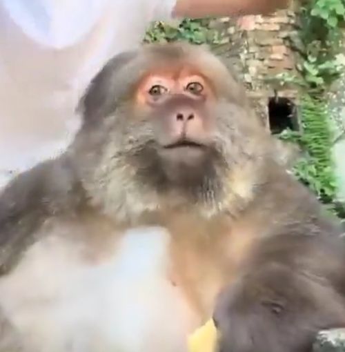 Чтобы голову не напекло