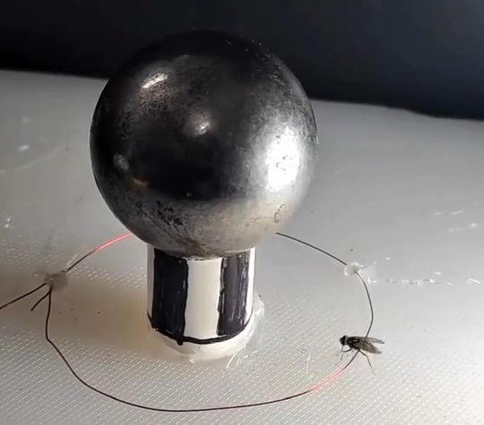 Им там что, мёдом намазано?)