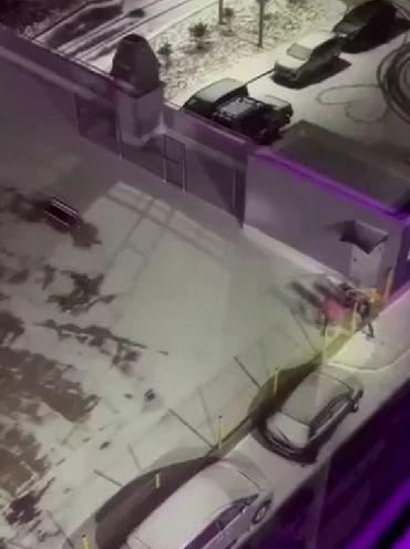 Хорошие друзья