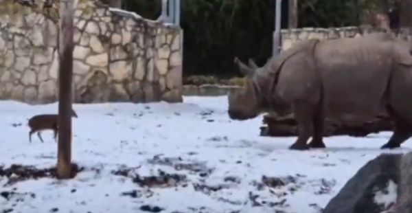 Ты на физику не смотри, он духом сильный