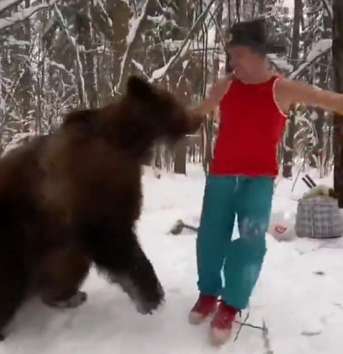 И мишка, такой молодой - вся жизнь впереди