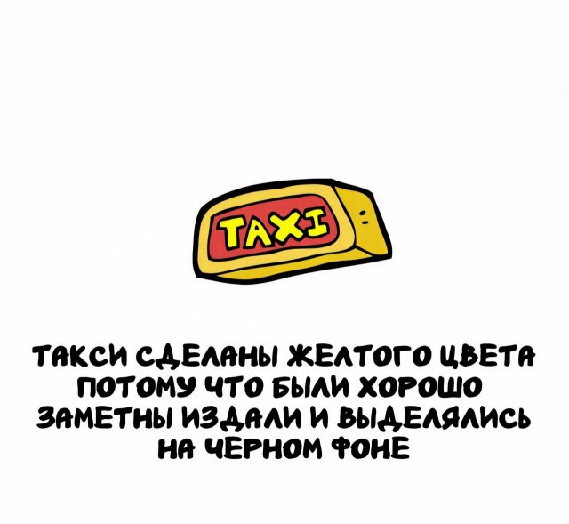 Познавательные и любопытные факты для расширения кругозора