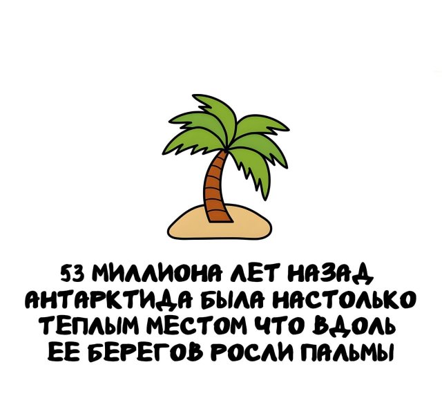 Познавательная подборка: интересные факты, о которых вы не знали