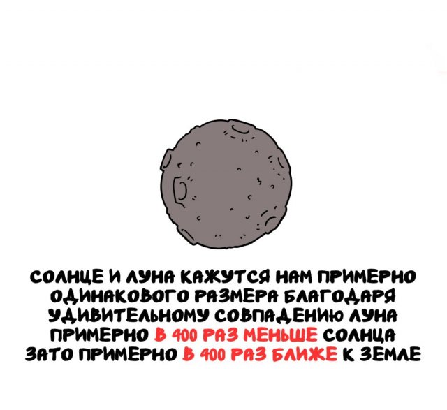 Самые интересные и удивительные факты обо всем на свете