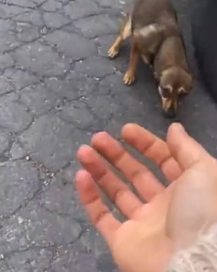 Нашла себе друга