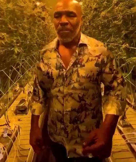 Когда на пенсии решил стать садоводом