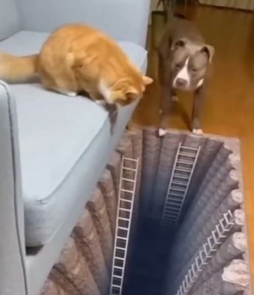 Падаю, спасите