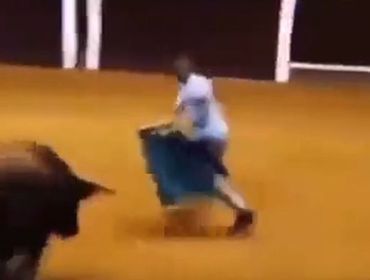 Бык сделал подсечку