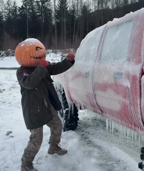 Обычное пользование каршерингом большинством людей