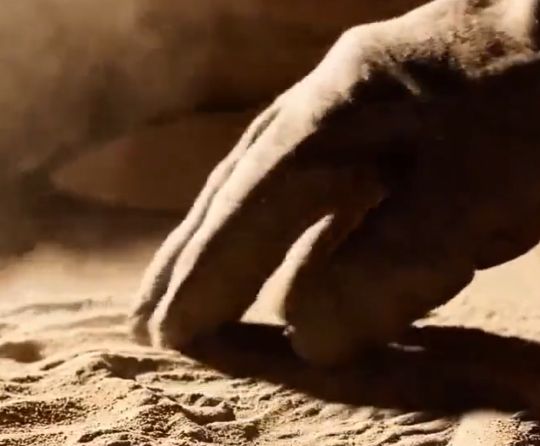 Трифторид хлора