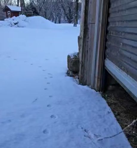 Коротко погоде...⁠⁠