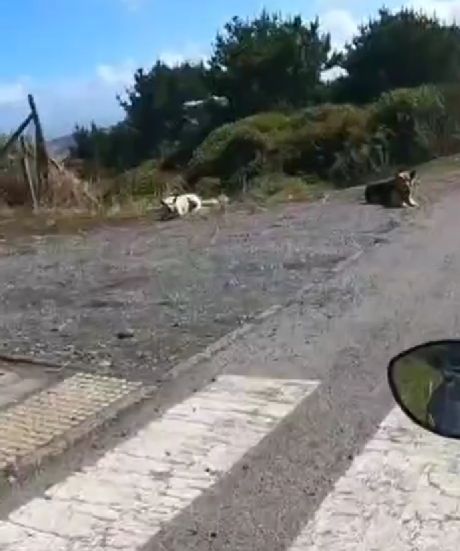 Главное не упасть)