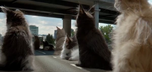 Peugeot 308 против «котят»: креативная реклама французского хэтчбека без ИИ