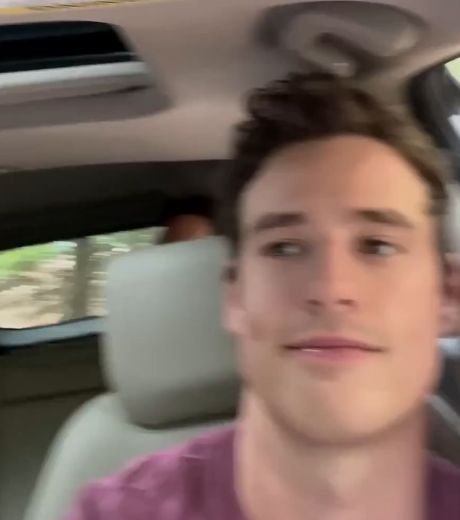 Любопытный детёныш бизона