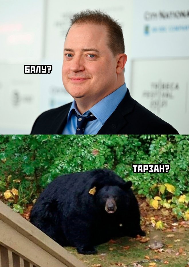 Подборка мемов