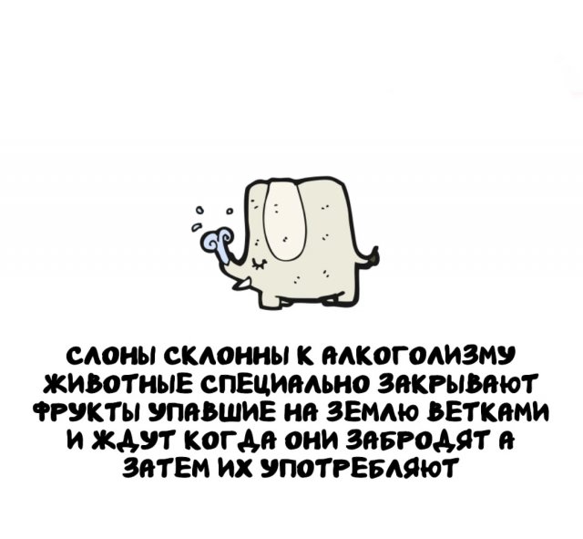 Невероятные и познавательные факты обо всем