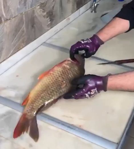 Просто шикарно⁠⁠