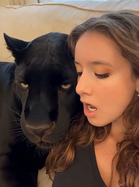 Пора спать...