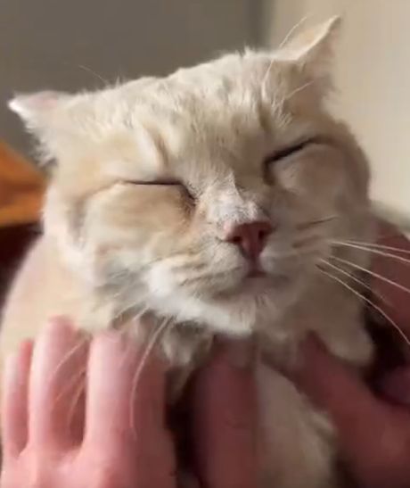 Какой классный трактор)