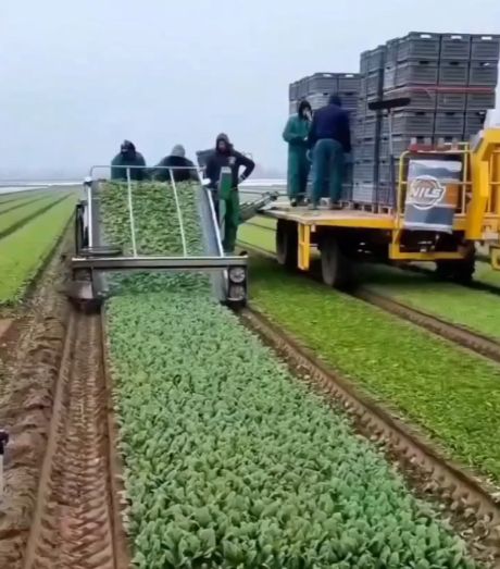 Комбайны для сбора урожая