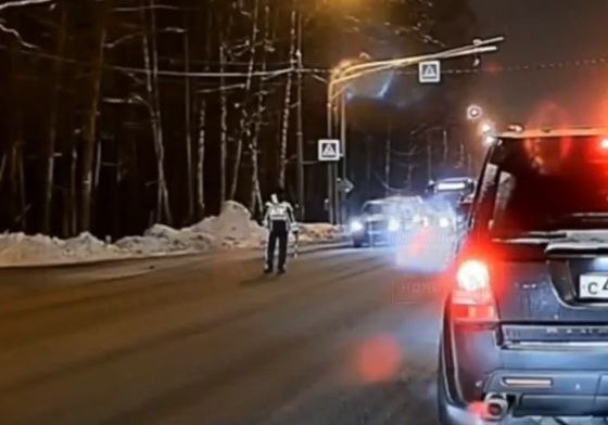 В Балашихе сотрудники ДПС остановили поток машин ради необычного пешехода