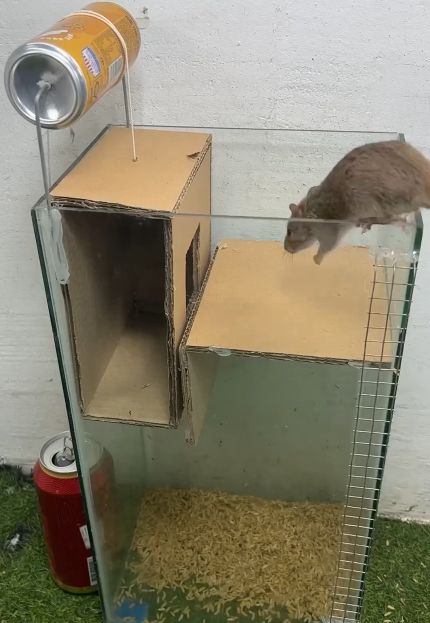 Принцип действия ловушки лифта⁠⁠