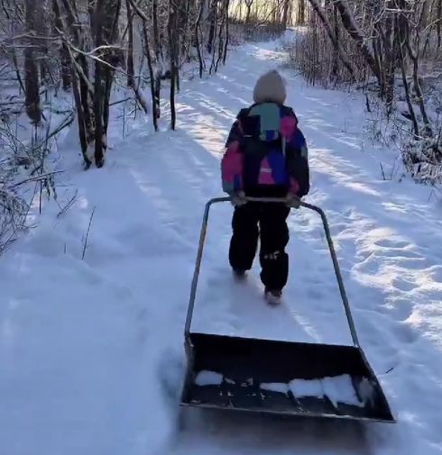 Каток в деревне