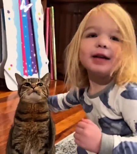 Ночной кошмар котиков