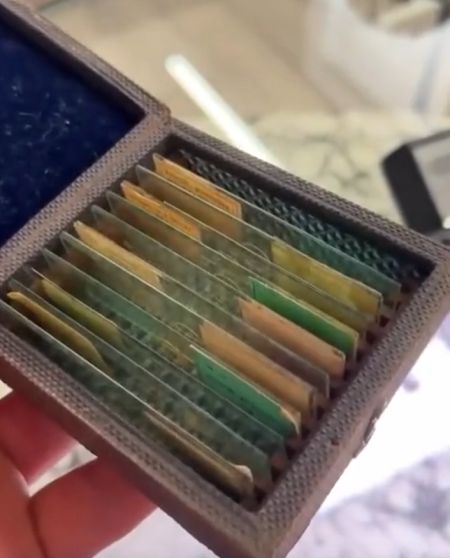 Удивительные находки на мусорке