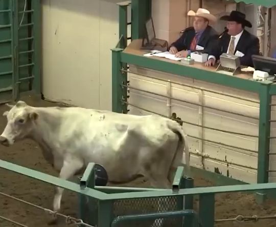 Эминем курит в сторонке⁠⁠