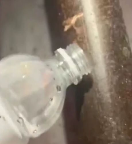 Зима, холода...