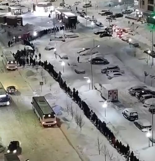 Транспортный коллапс в Подмосковье: многометровые очереди на автобусы в мороз