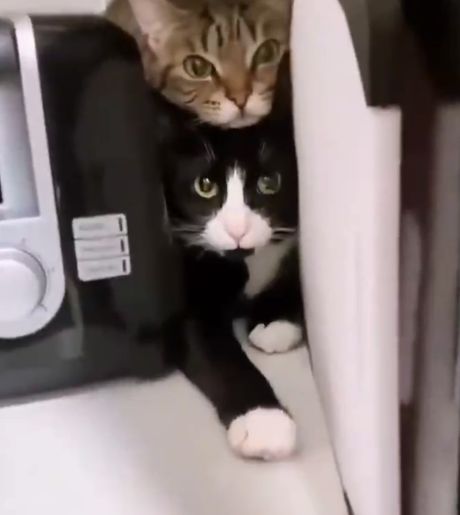 Страшно, вырубай