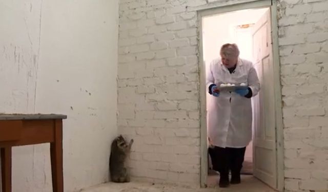 Енот-путешественник из США переехал в Беларусь в контейнере с авто