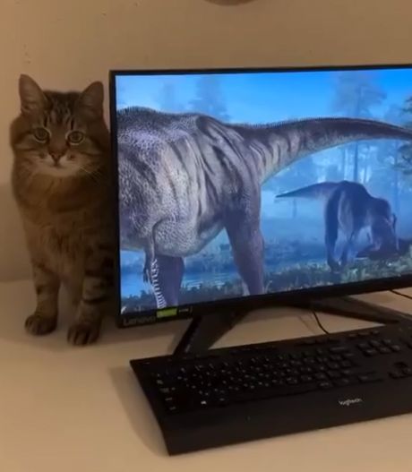 Единственный, сохранившийся вид динозавров - креслоцараптор⁠⁠