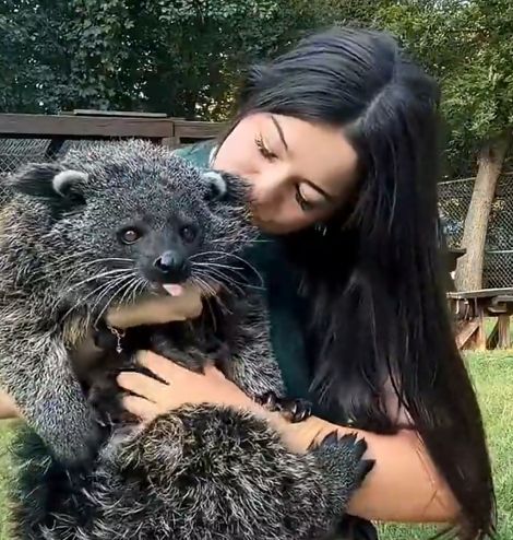 Просто бинтуронг