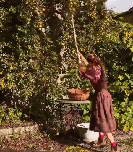 Сидр. Настоящий