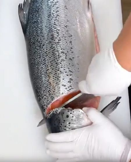Разделка рыбы⁠⁠