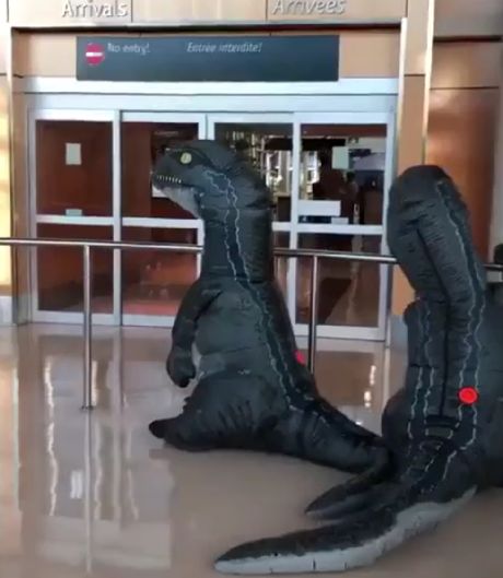 Внуки переоделись в тиранозавров, чтобы удивить в аэропорту бабушку. Бабушка об этом плане пронюхала, и дала ответный ход...)